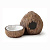 Exo Terra Coconut Hide & Water Dish Поилка с укрытием кокос 14х24х13 см PT3159